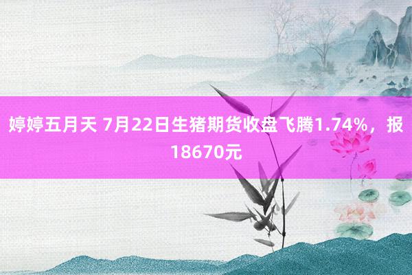 婷婷五月天 7月22日生猪期货收盘飞腾1.74%，报18670元