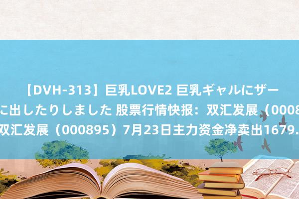 【DVH-313】巨乳LOVE2 巨乳ギャルにザーメンを中出ししたり、口に出したりしました 股票行情快报：双汇发展（000895）7月23日主力资金净卖出1679.13万元