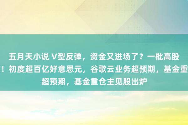 五月天小说 V型反弹，资金又进场了？一批高股息股再翻新高！初度超百亿好意思元，谷歌云业务超预期，基金重仓主见股出炉