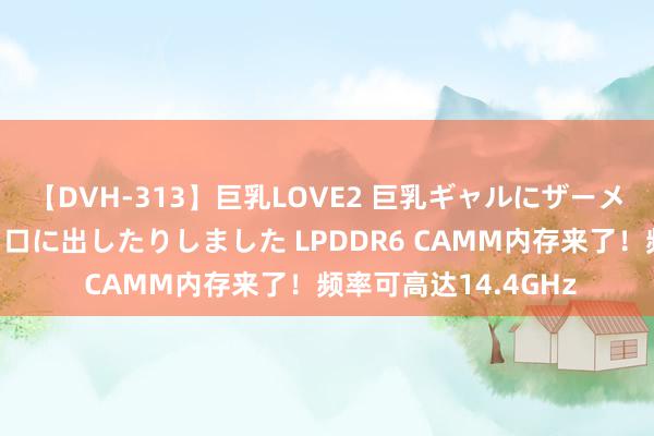 【DVH-313】巨乳LOVE2 巨乳ギャルにザーメンを中出ししたり、口に出したりしました LPDDR6 CAMM内存来了！频率可高达14.4GHz