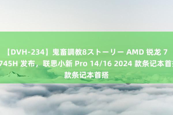 【DVH-234】鬼畜調教8ストーリー AMD 锐龙 7 8745H 发布，联思小新 Pro 14/16 2024 款条记本首搭