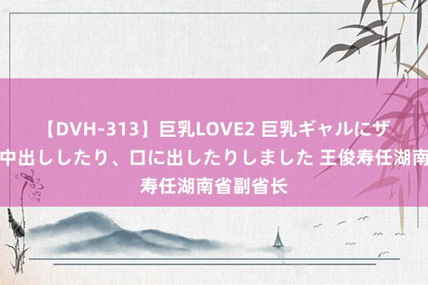 【DVH-313】巨乳LOVE2 巨乳ギャルにザーメンを中出ししたり、口に出したりしました 王俊寿任湖南省副省长