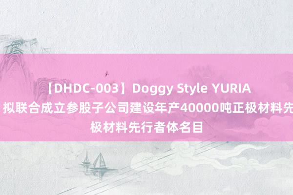 【DHDC-003】Doggy Style YURIA 厦钨新能：拟联合成立参股子公司建设年产40000吨正极材料先行者体名目