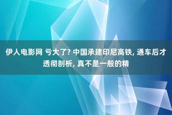 伊人电影网 亏大了? 中国承建印尼高铁, 通车后才透彻剖析, 真不是一般的精