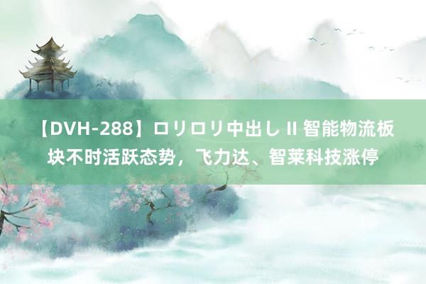 【DVH-288】ロリロリ中出し II 智能物流板块不时活跃态势，飞力达、智莱科技涨停