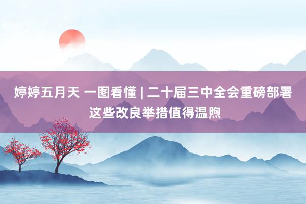 婷婷五月天 一图看懂 | 二十届三中全会重磅部署 这些改良举措值得温煦