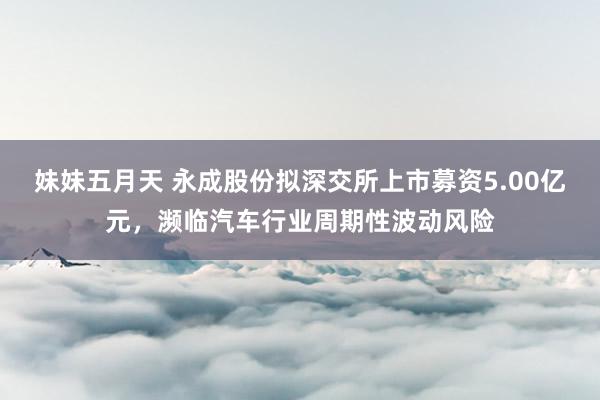 妹妹五月天 永成股份拟深交所上市募资5.00亿元，濒临汽车行业周期性波动风险