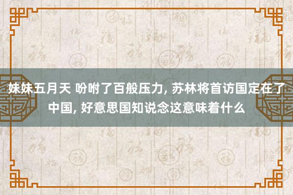 妹妹五月天 吩咐了百般压力, 苏林将首访国定在了中国, 好意思国知说念这意味着什么