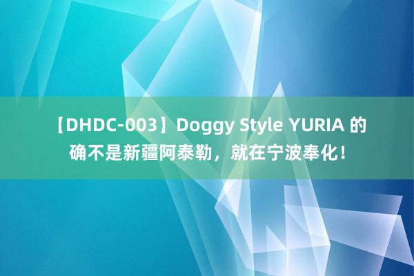 【DHDC-003】Doggy Style YURIA 的确不是新疆阿泰勒，就在宁波奉化！