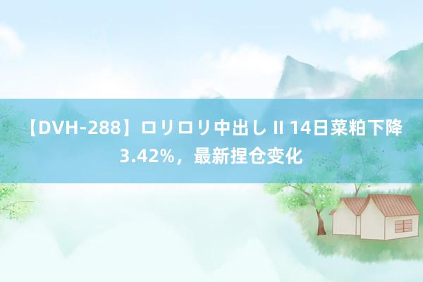 【DVH-288】ロリロリ中出し II 14日菜粕下降3.42%，最新捏仓变化