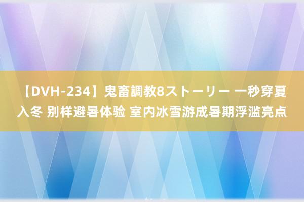 【DVH-234】鬼畜調教8ストーリー 一秒穿夏入冬 别样避暑体验 室内冰雪游成暑期浮滥亮点