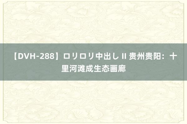 【DVH-288】ロリロリ中出し II 贵州贵阳：十里河滩成生态画廊