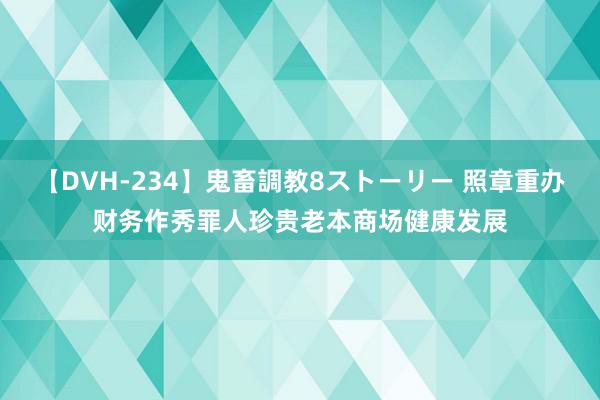 【DVH-234】鬼畜調教8ストーリー 照章重办财务作秀罪人　珍贵老本商场健康发展