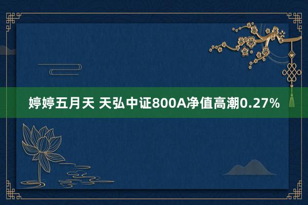 婷婷五月天 天弘中证800A净值高潮0.27%