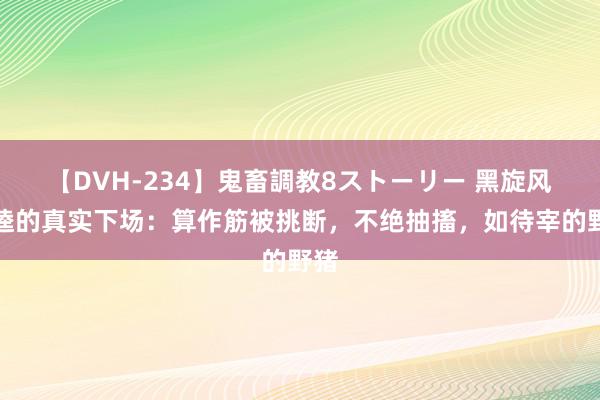 【DVH-234】鬼畜調教8ストーリー 黑旋风李逵的真实下场：算作筋被挑断，不绝抽搐，如待宰的野猪