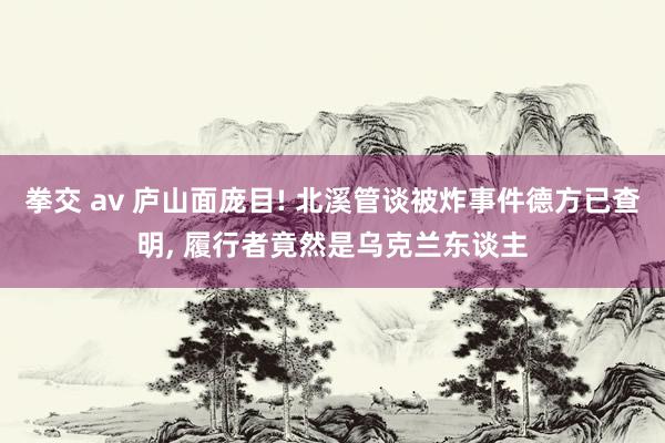 拳交 av 庐山面庞目! 北溪管谈被炸事件德方已查明, 履行者竟然是乌克兰东谈主