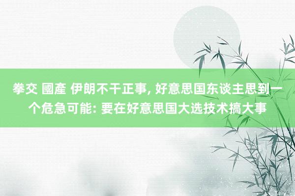 拳交 國產 伊朗不干正事, 好意思国东谈主思到一个危急可能: 要在好意思国大选技术搞大事