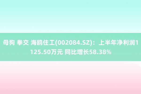 母狗 拳交 海鸥住工(002084.SZ)：上半年净利润1125.50万元 同比增长58.38%