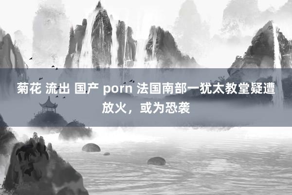 菊花 流出 国产 porn 法国南部一犹太教堂疑遭放火，或为恐袭