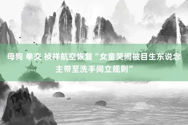 母狗 拳交 祯祥航空恢复“女童哭闹被目生东说念主带至洗手间立规则”